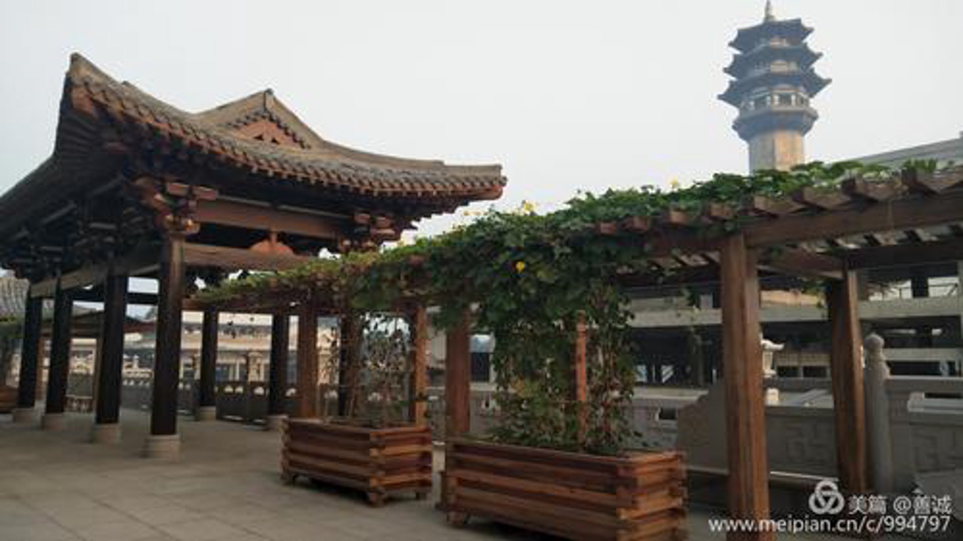 东卉福旅游咨询